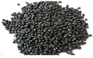 Black Urad Dal