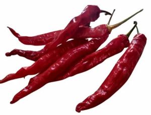 Dry Red Chilly Whole