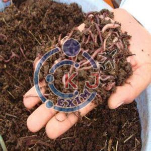 Earthworm Vermicompost Fertilizer