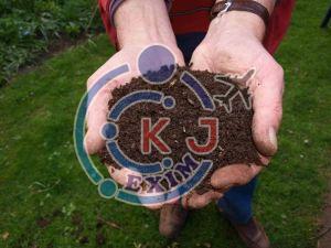 Natural Vermicompost Fertilizer