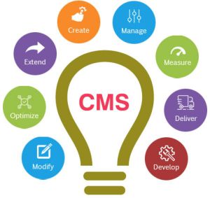 Content Management Service