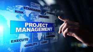 Project Management Services