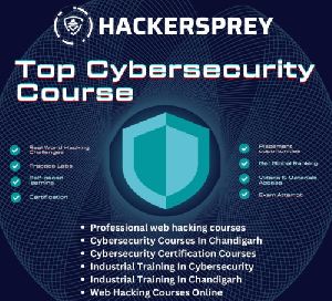 Cybersecurity Course In Chandigarh