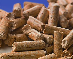 Biomass Pellet