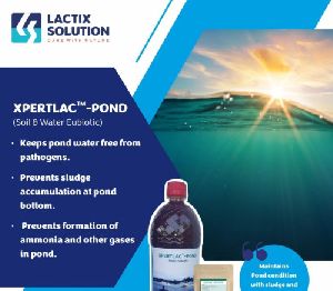 aquaculture probiotics