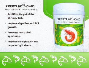 XPERTLAC GUT C PROBIOTIC