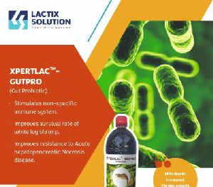 XPERTLAC GUT PRO PROBIOTIC