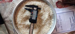 Ir 64 Parboiled Rice