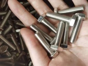 Coated Nut Bolts