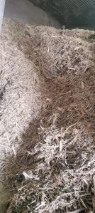 Babool Wood Fuel Chips
