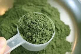 kratom powder