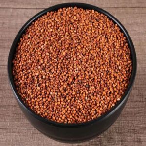 Ragi Seed