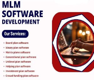 Online Software Development