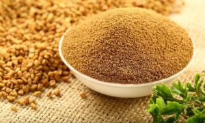 Fenugreek Powder