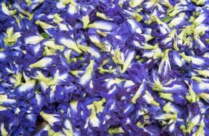 dried blue butterfly pea flower