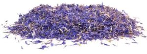 Dried Bluecorn Flower