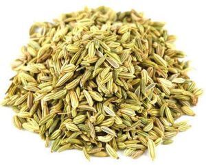 Fennel Seeds