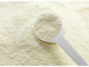 Milk Powder