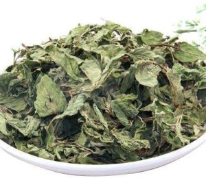 Dried Mint Leaves