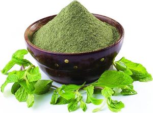 mint leaf powder