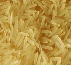 1401 Golden Sella Basmati Rice