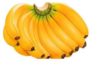 Fresh Organic Banana