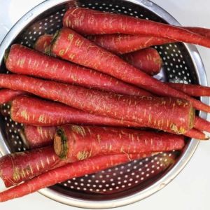 Fresh Red Carrot