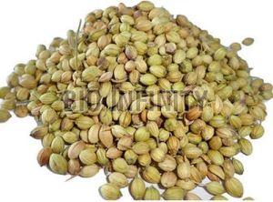 Coriander Seeds