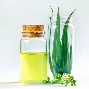 Eucalyptus Oil