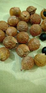 Soapnut Powder