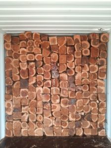 Nigeria Teakwood Roughly Squared Logs