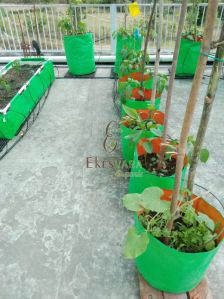 24x24 Inch HDPE Plant Grow Bag