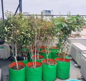 24x24 Inch HDPE Plant Grow Bag