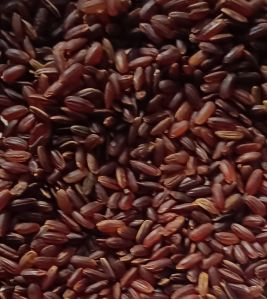 Red Rice