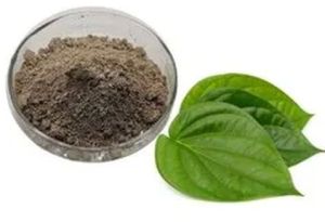 Dehydrated Betel Leaves Powder