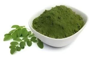 Dehydrated Moringa Leaves Powder