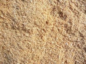 Mango wood sawdust