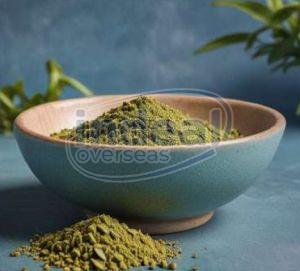 Green Tea Leaves Powder