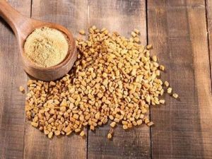 Fenugreek Powder