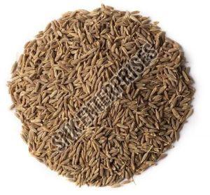 A Grade Cumin Seeds