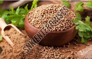 coriander seeds