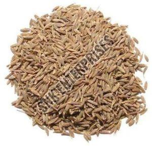 cumin seeds