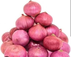 Fresh Red Onion