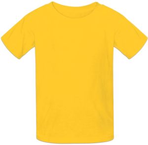 Boys Hosiery Round Neck T-Shirt