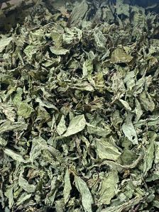 Dehydrated Mint Leaves