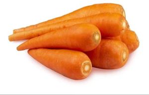 Fresh Organic Carrot