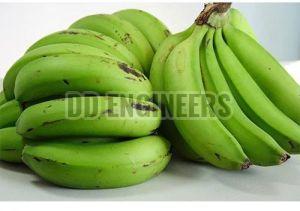 Fresh Green Banana