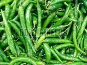 Fresh Green Chilli