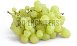 Fresh Green Grapes