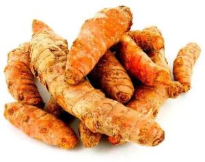 Fresh Turmeric